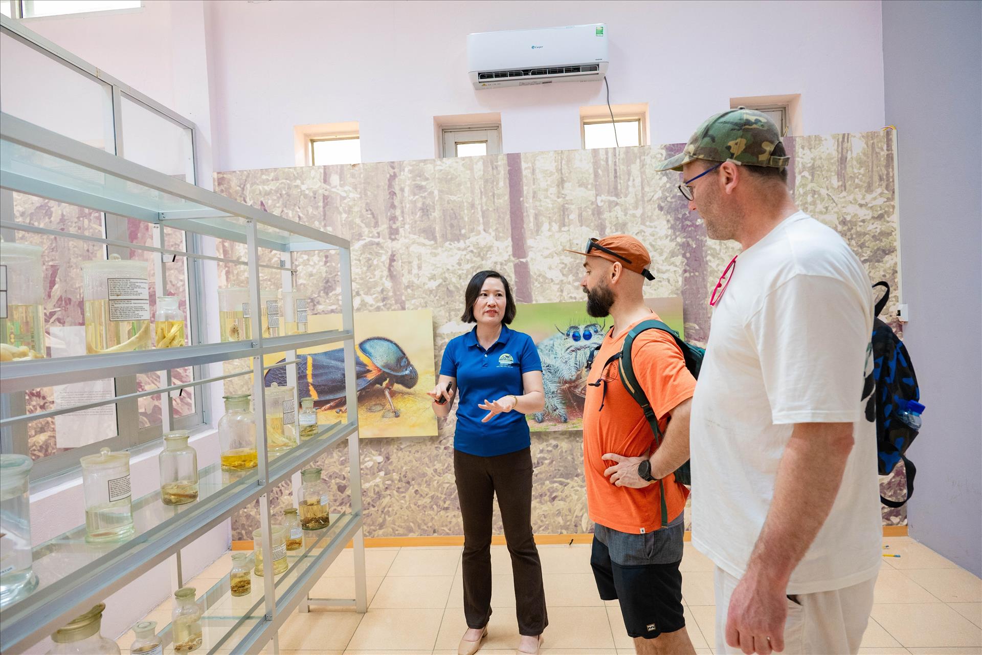 Khám phá bảo tàng xanh giữa lòng đại ngàn Cúc Phương