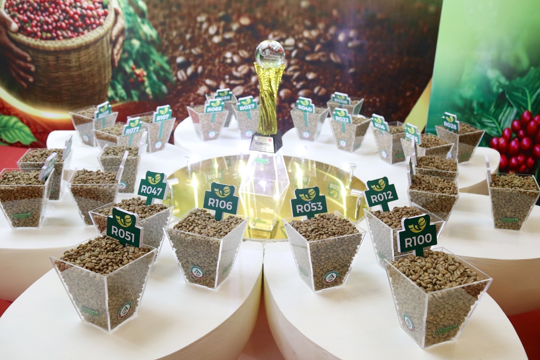 Vietnam Amazing Cup 2026 consacre lexcellence du café de spécialité vietnamien