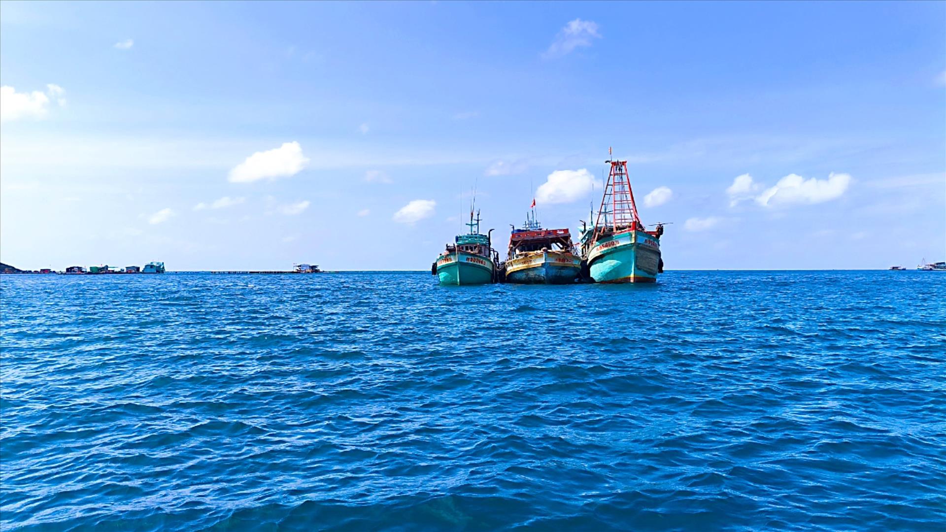 Ca Mau Accelerates Vessel Data Clean-Up to Remove IUU Fishing Warning