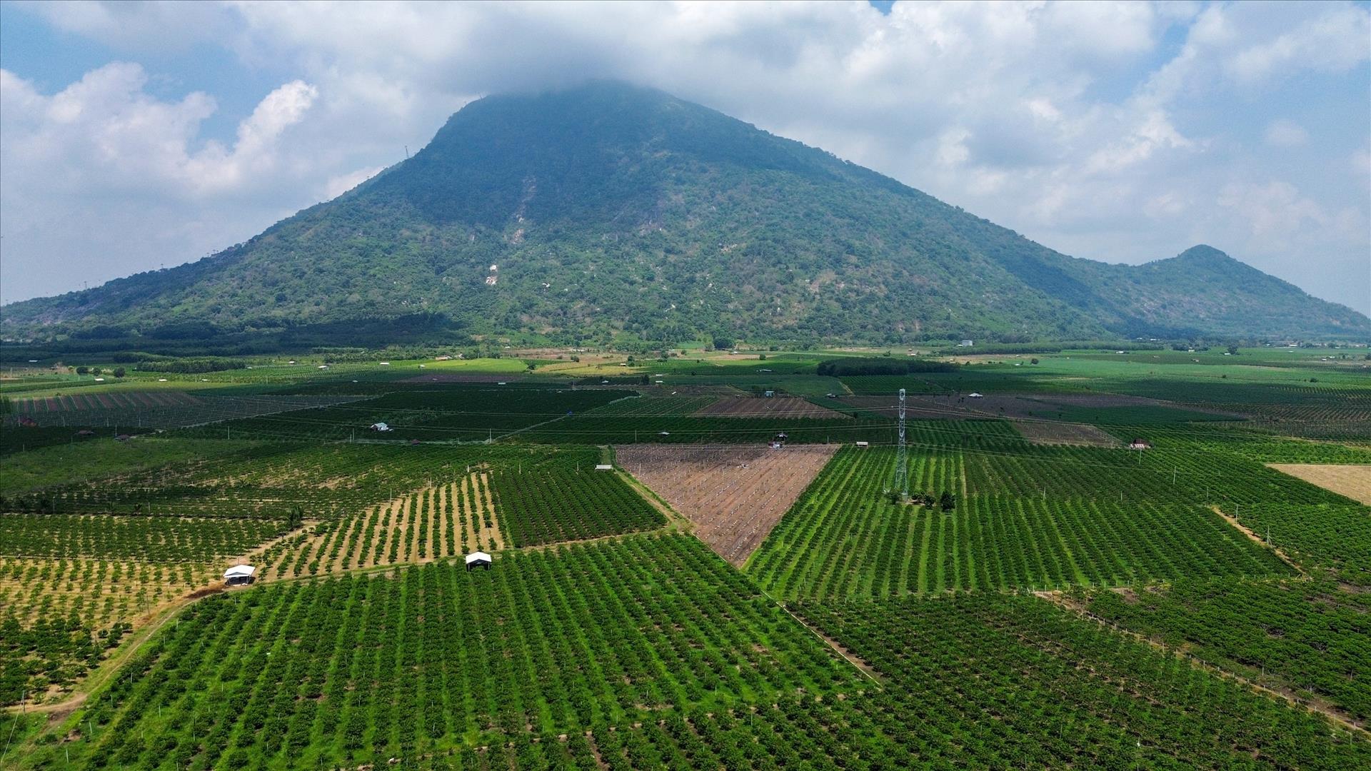 Chuỗi du lịch sinh thái ở núi Bà Đen
