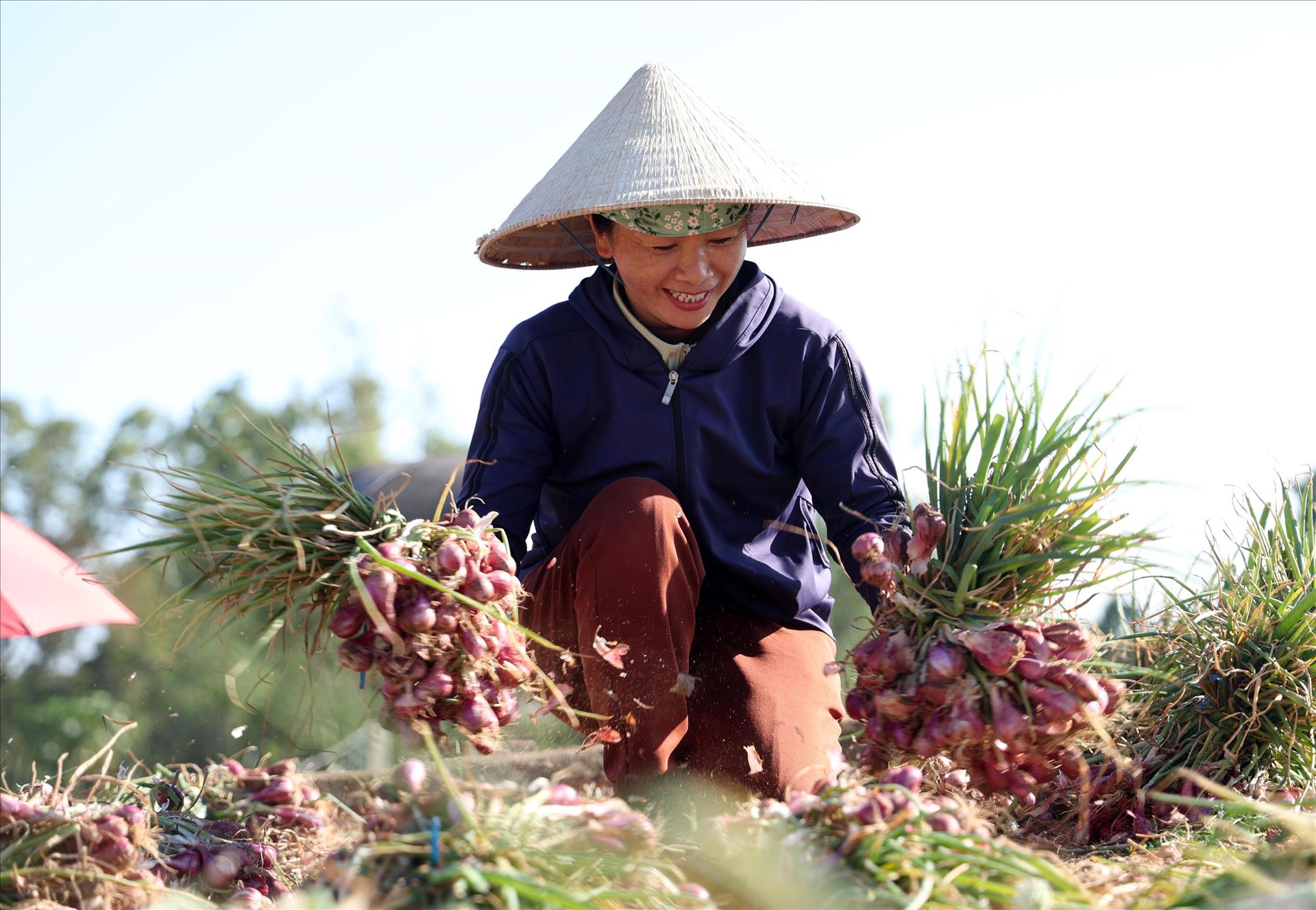 Quảng Ngãi nâng tầm sản phẩm OCOP gắn với văn hóa bản địa
