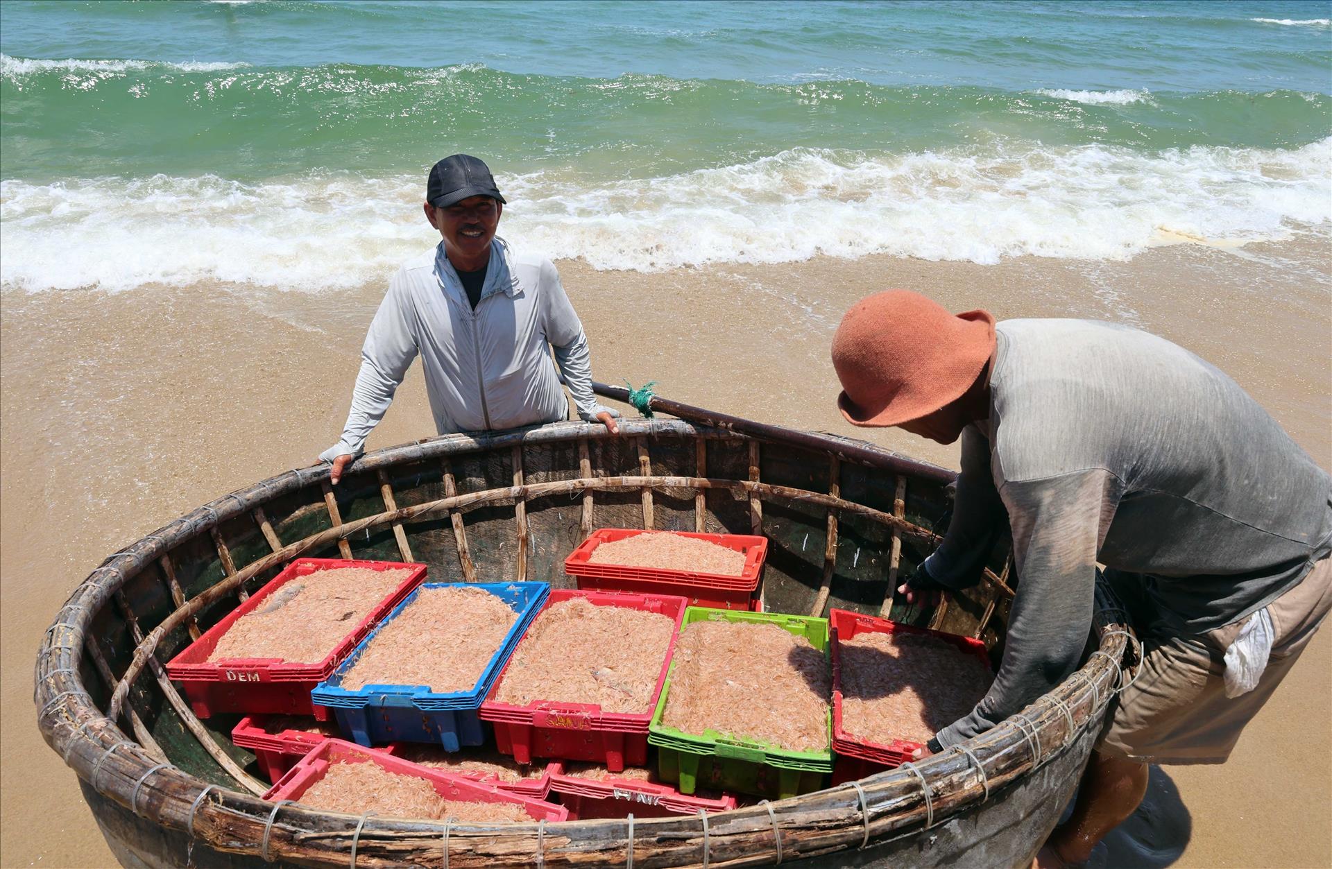 Nhịp sống mưu sinh của ngư dân vùng biển bãi ngang Đà Nẵng
