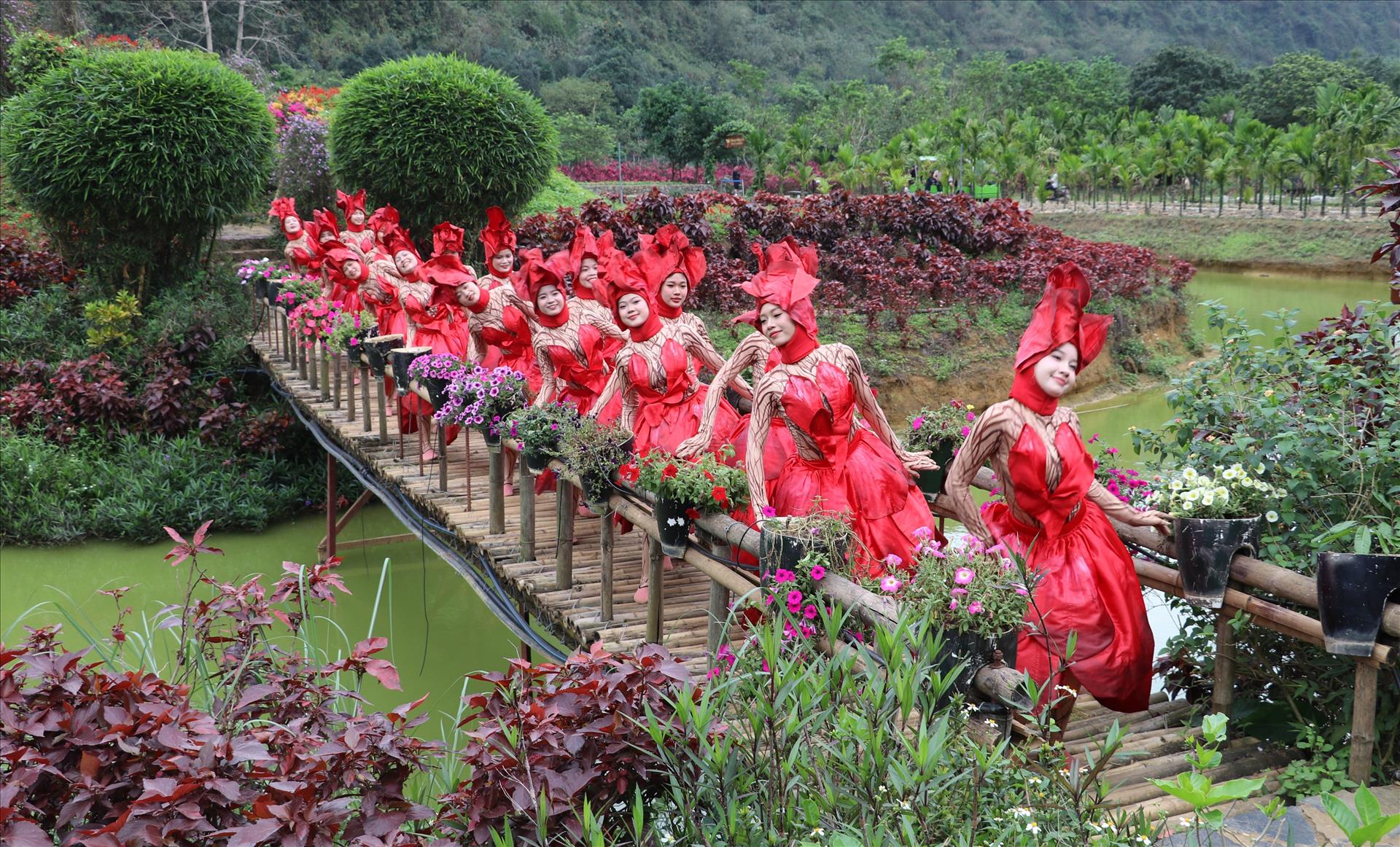 Vẻ đẹp say lòng người của các mùa hoa di sản tại Ninh Bình