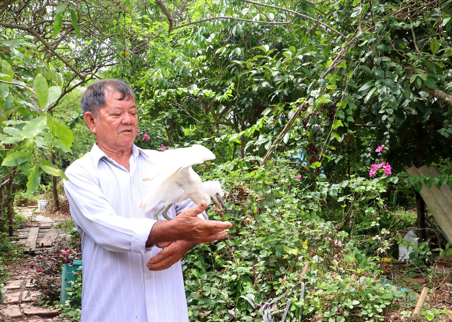 Lão nông dành 2,6 ha đất cho đàn chim trời cư ngụ