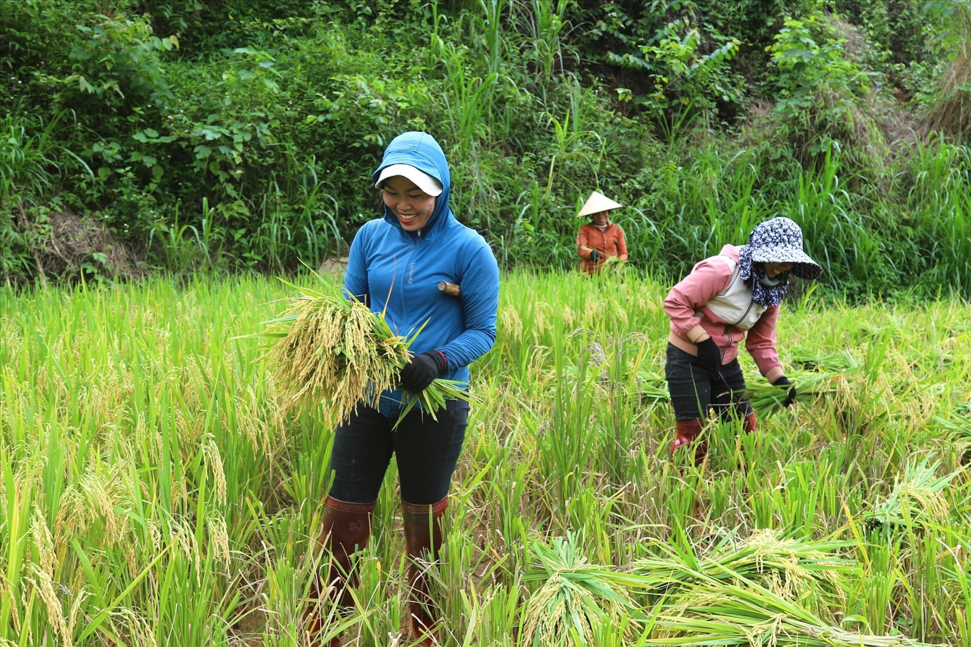Nhịp sống của đồng bào Thái ở thung lũng Bình Chuẩn