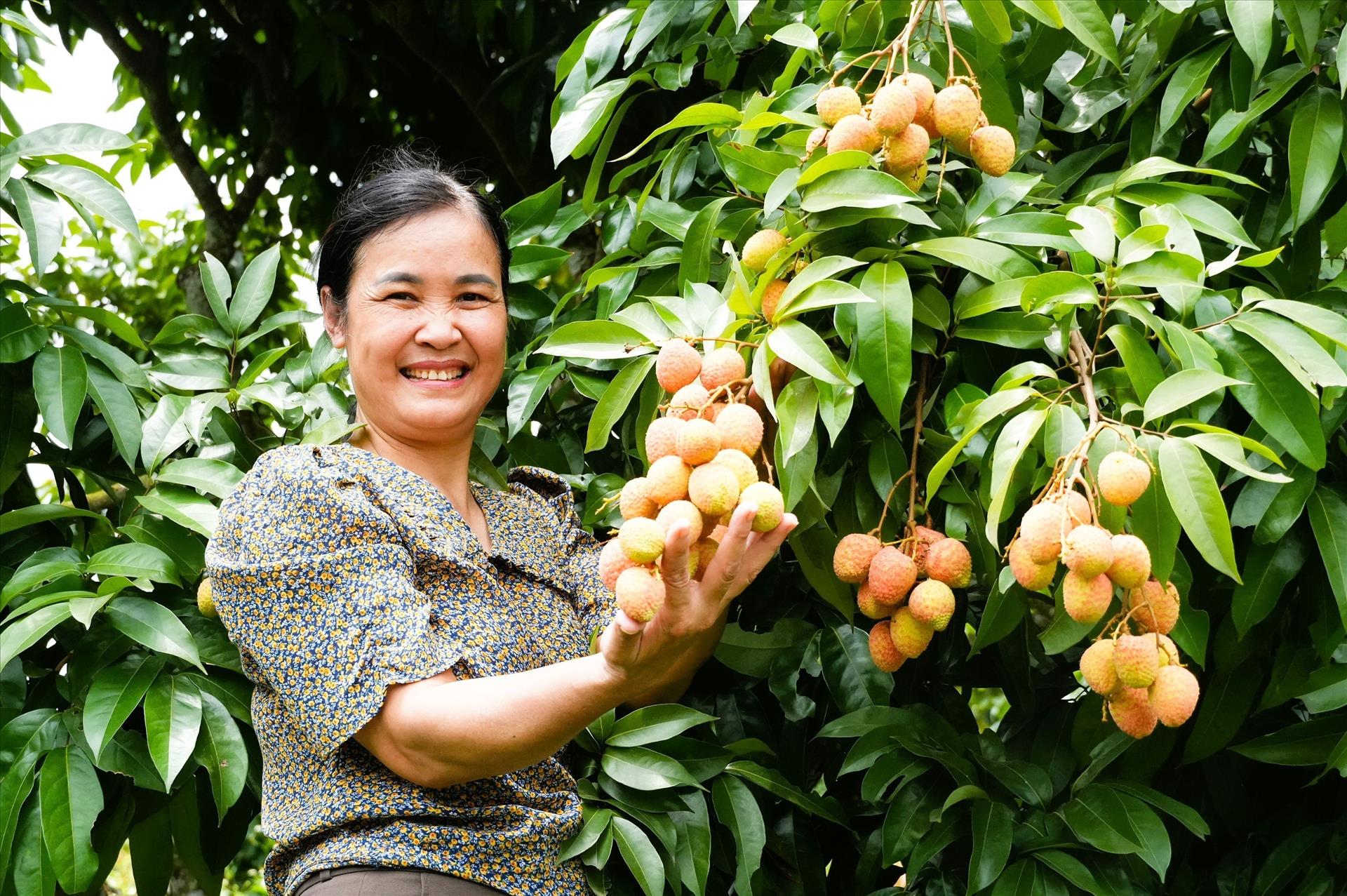Vải thiều sớm Bắc Ninh được thị trường ưa chuộng