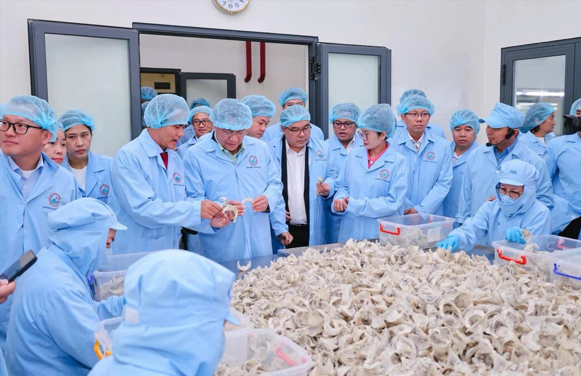 Yến sào Khánh Hòa nỗ lực phát triển theo tinh thần Nghị quyết 79-NQ/TW