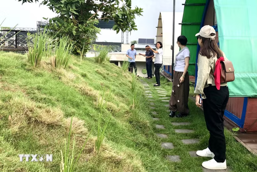 Du lịch trải nghiệm hồi sinh vùng sinh thái lân cận Thành phố Hồ Chí Minh