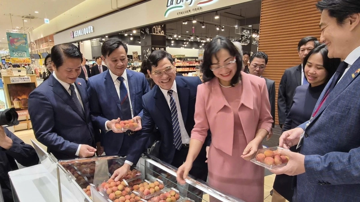 ベトナムウィーク2026　 日本などアジア各地で開催