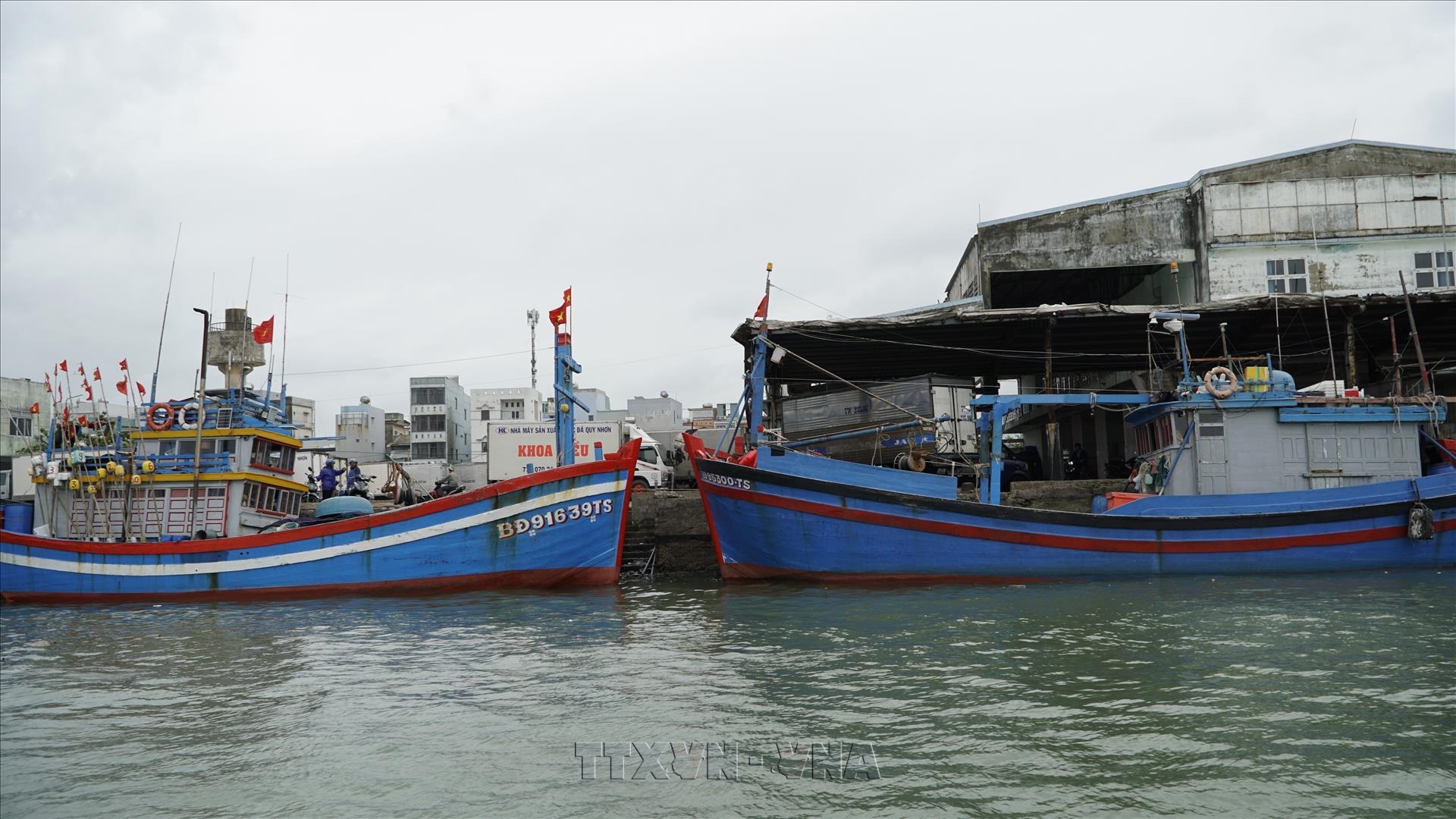 Provincia vietnamita digitaliza embarcaciones para frenar la pesca ilegal