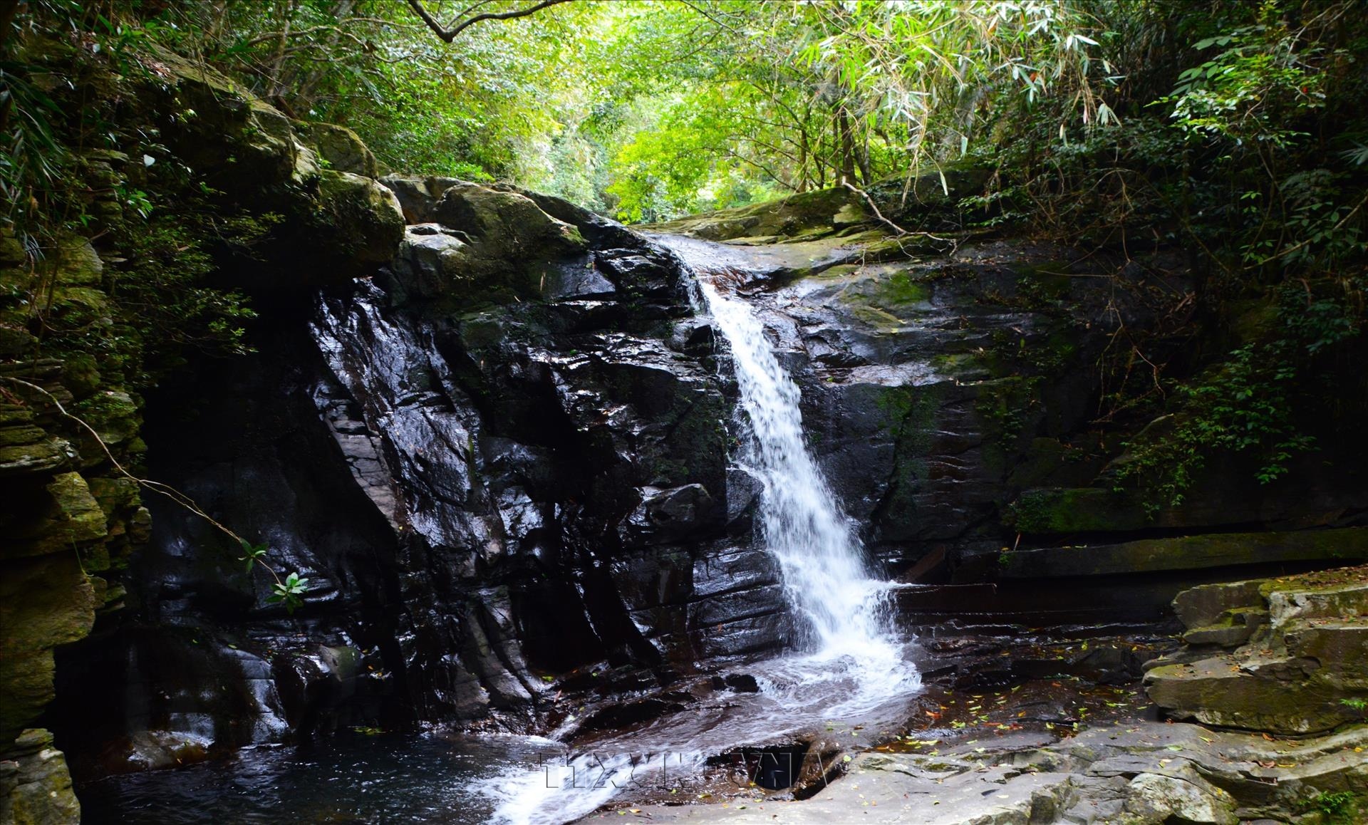 Exploring the Majestic Streams and Waterfalls of Bach Ma