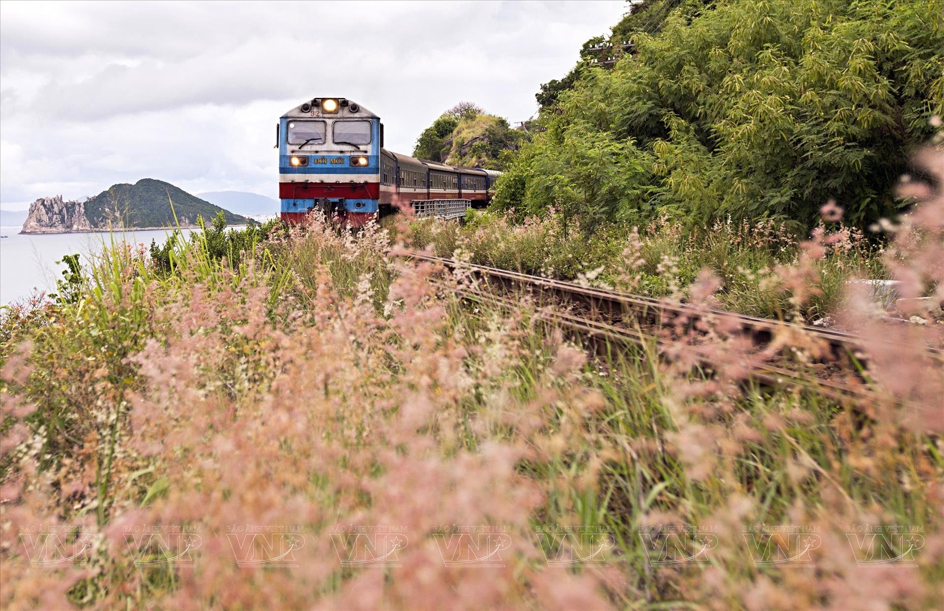Sector ferroviario vietnamita gana impulso con trenes turísticos y patrimoniales