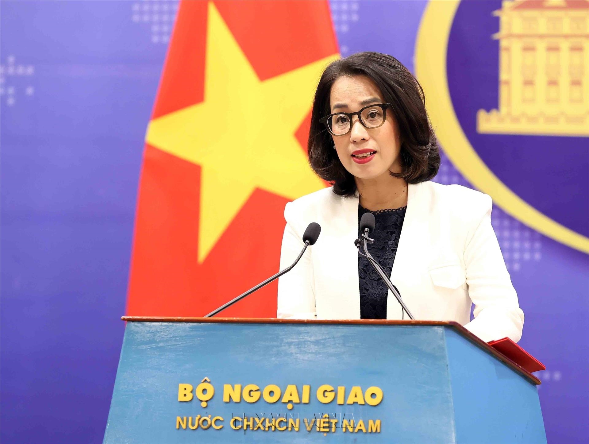 Ministry of Foreign Affairs updates on rescue efforts after Khoi Nguyen 18 vessel sinks at sea