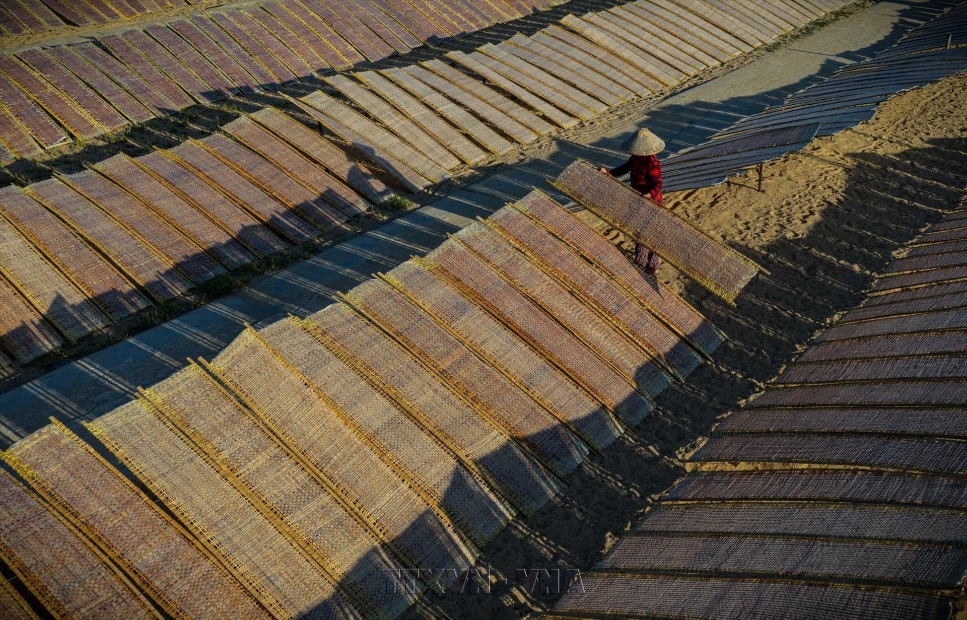 Làng nghề bún, bánh tráng An Thái