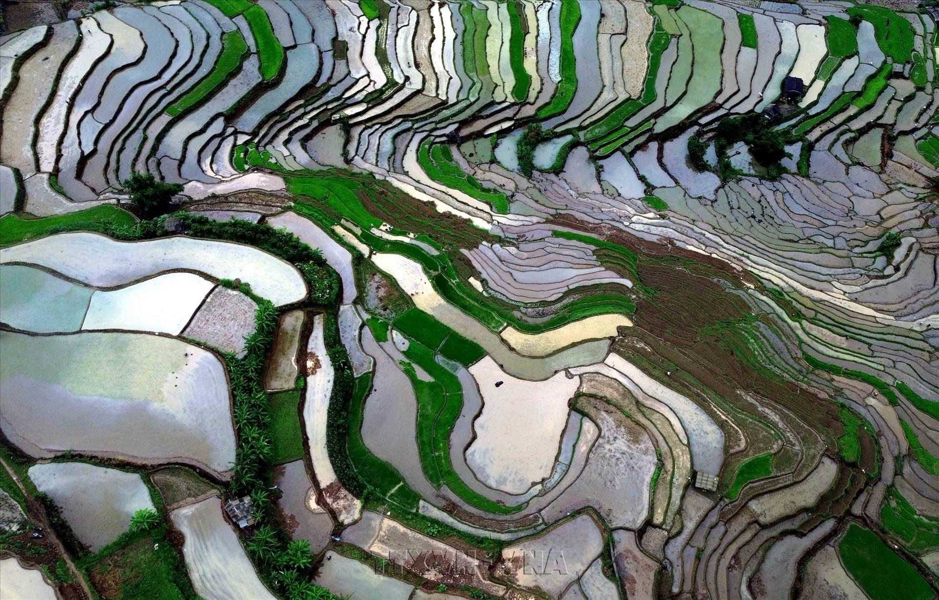 The Beauty of Son Las Water-Pouring Season