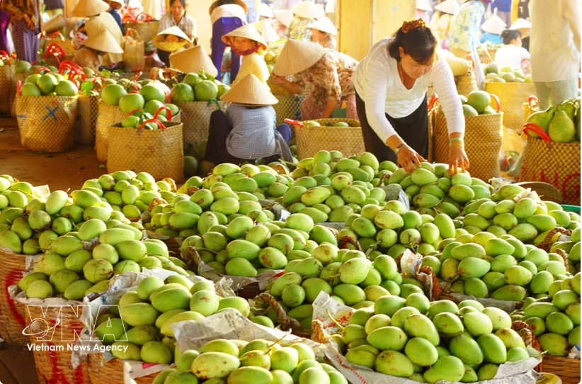 Le commerce extérieur, point fort de léconomie vietnamienne