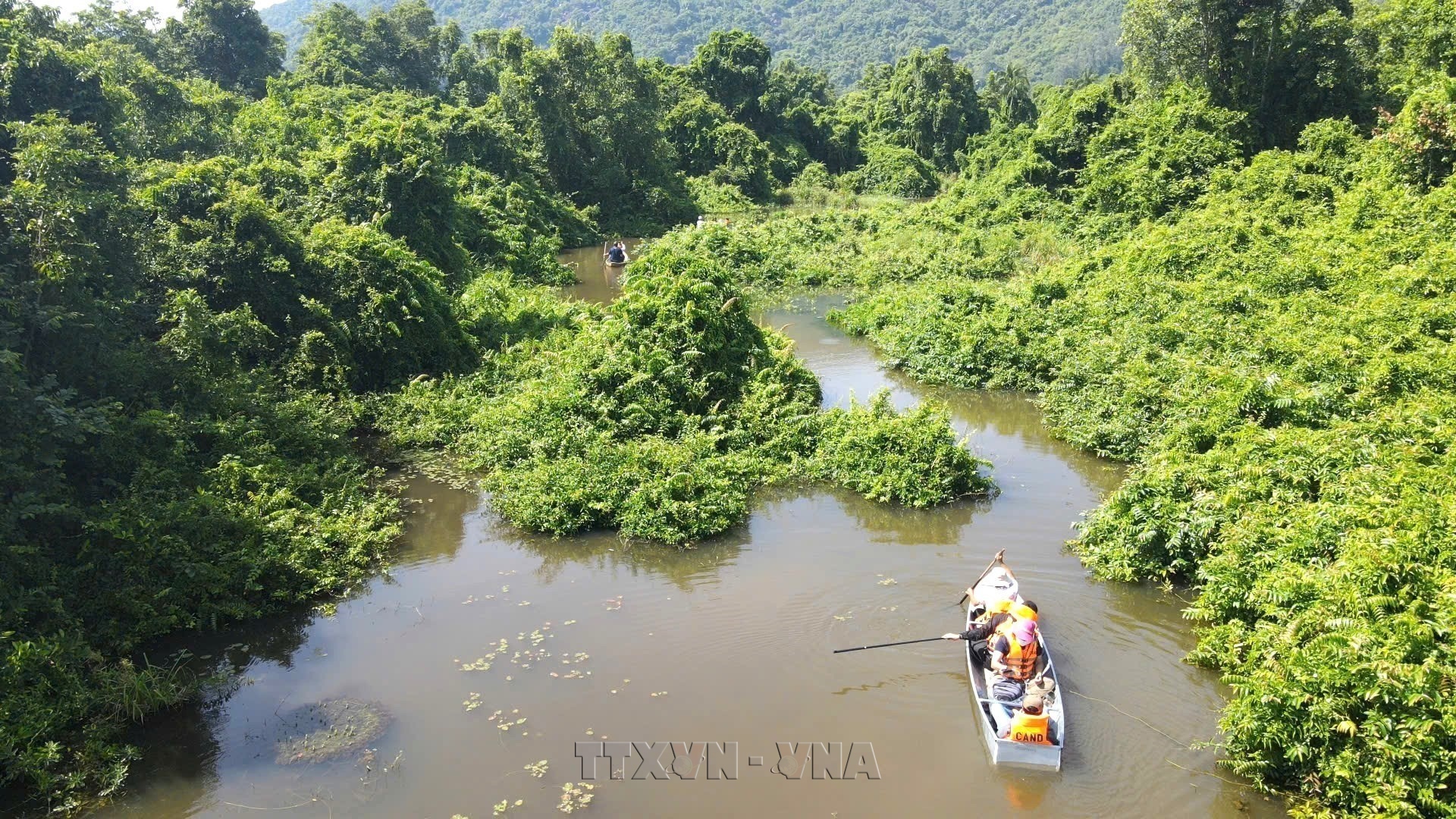 Exploring the Untouched Beauty of Bau Da Forest