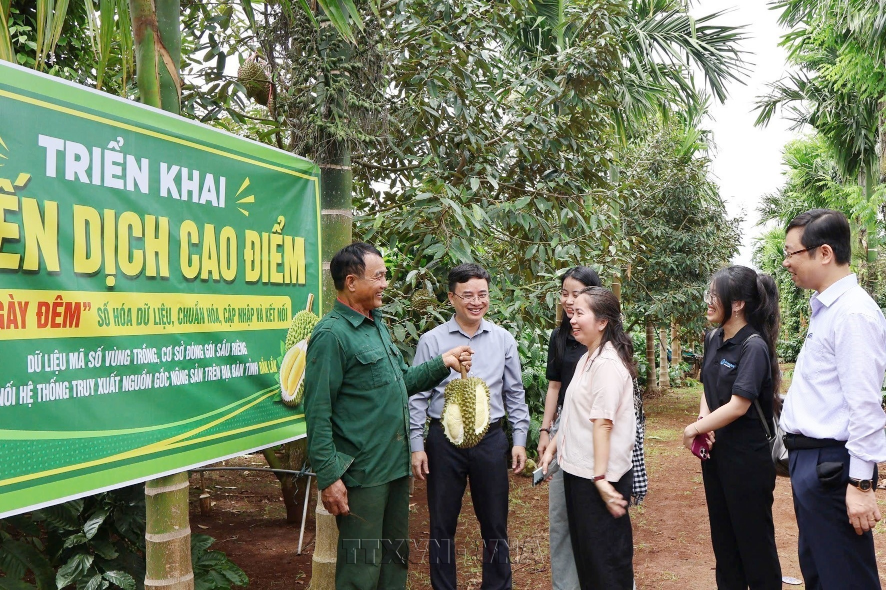 Đắk Lắk ra mắt Bản đồ số nông sản và phát động chiến dịch 30 ngày đêm chuẩn hóa dữ liệu sầu riêng