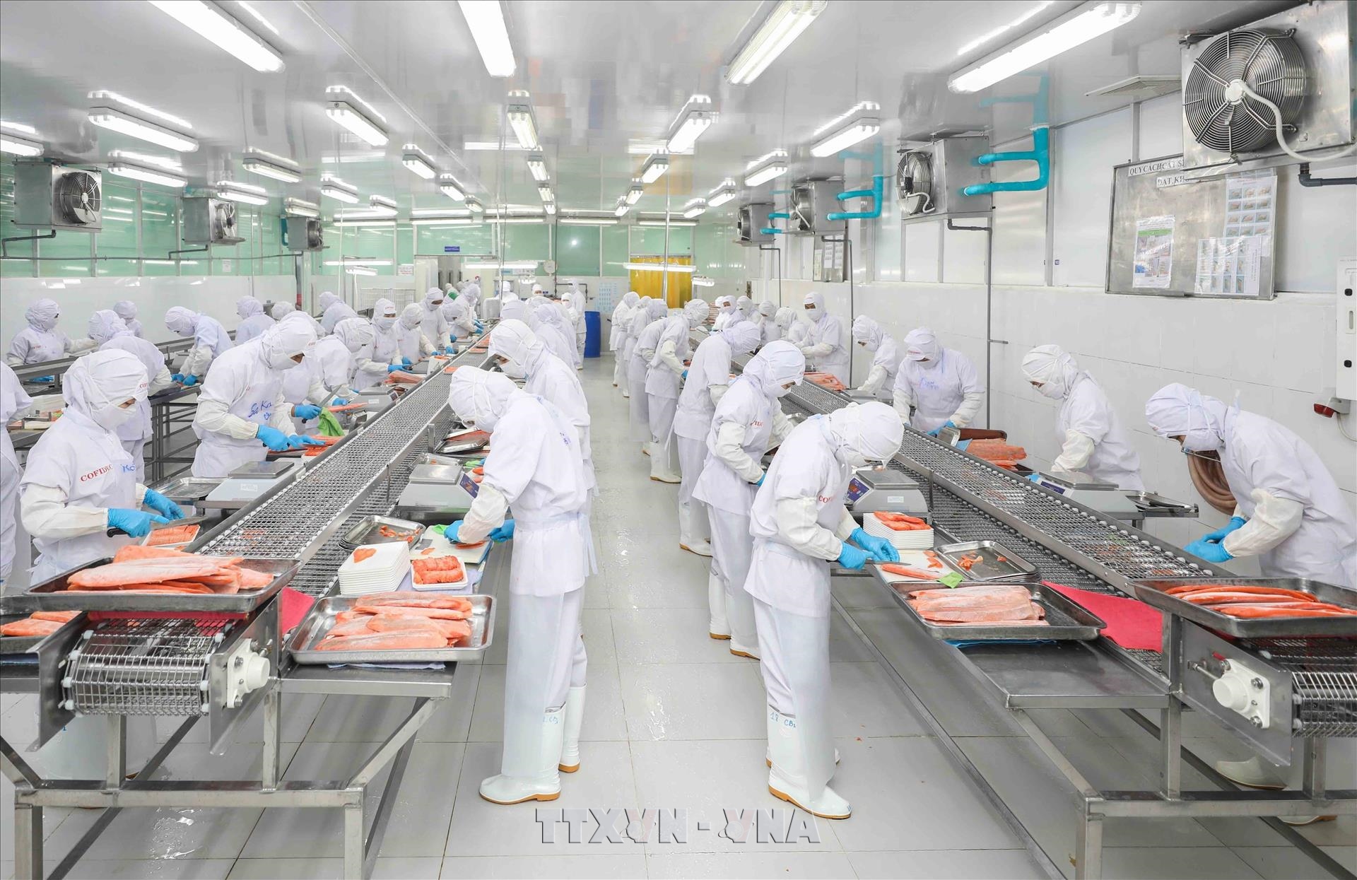 Seven-Month Agro-Forestry-Fishery Exports Rise 7.5%
