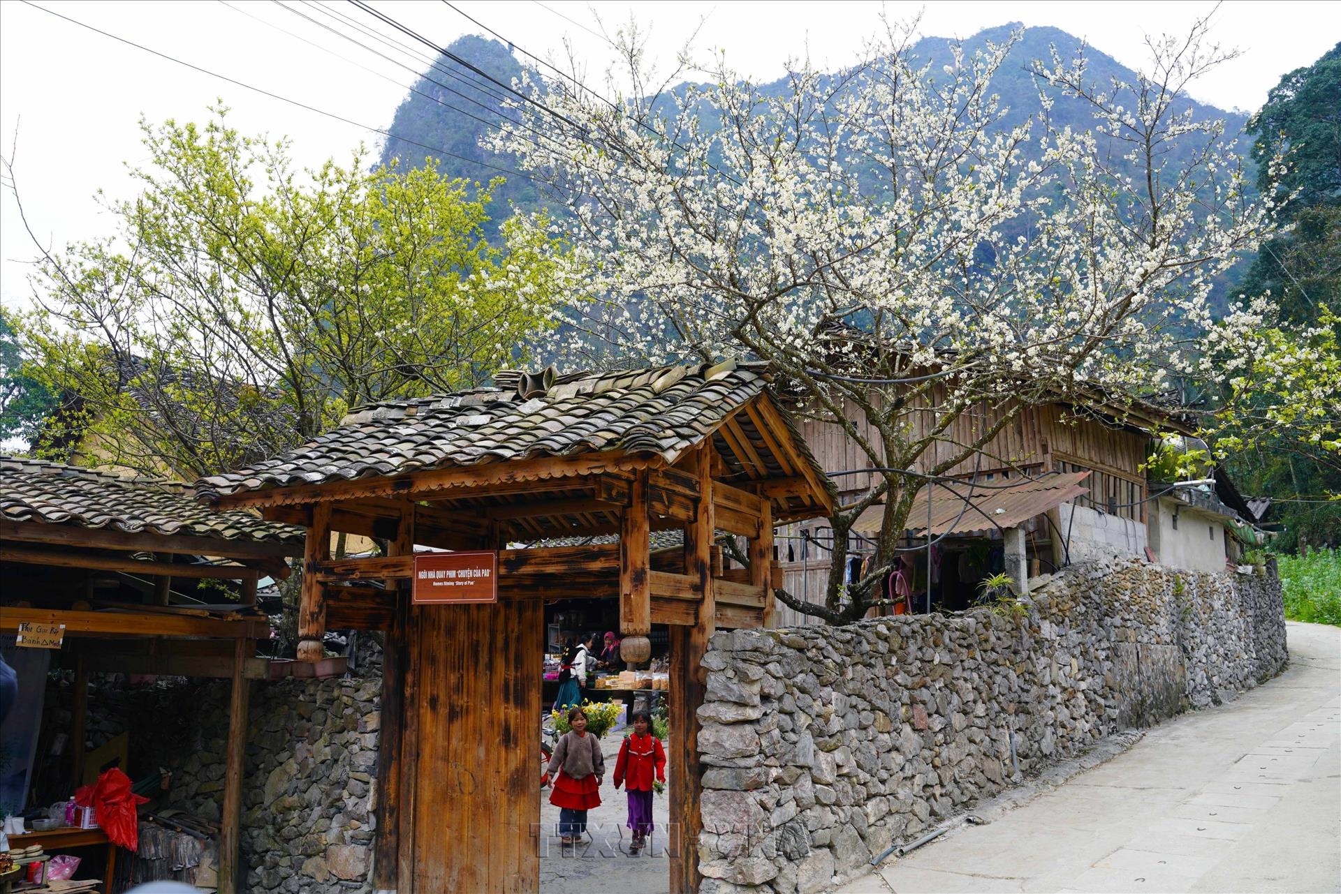 New resolution issued to turn tourism into spearhead economic sector