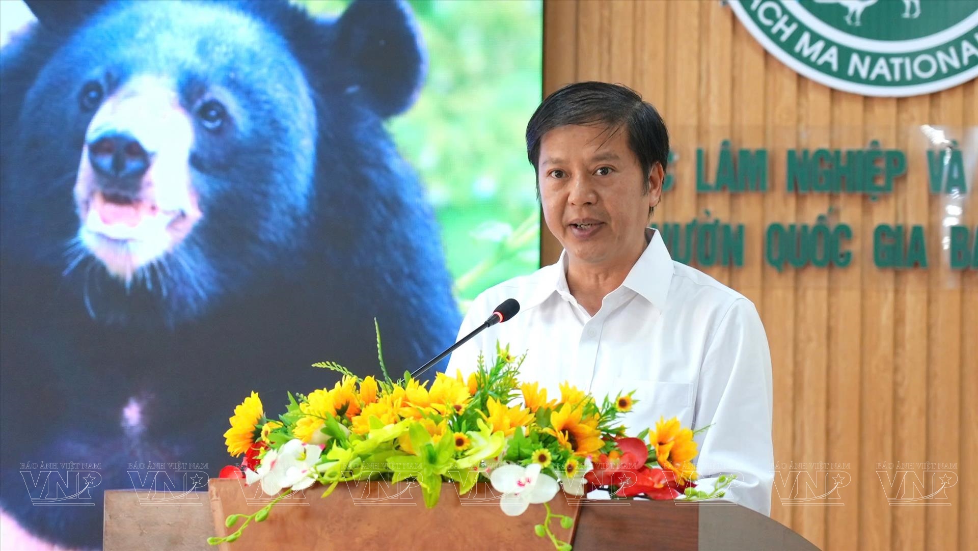 Việt Nam nỗ lực chấm dứt nạn nuôi nhốt gấu lấy mật