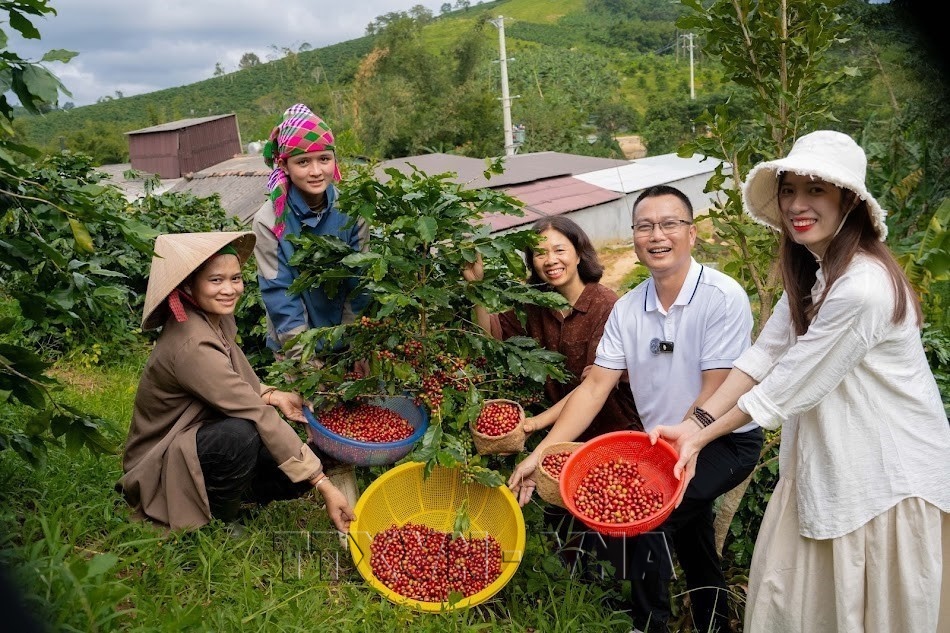 Quảng Trị đánh thức mỏ vàng xanh từ nông nghiệp
