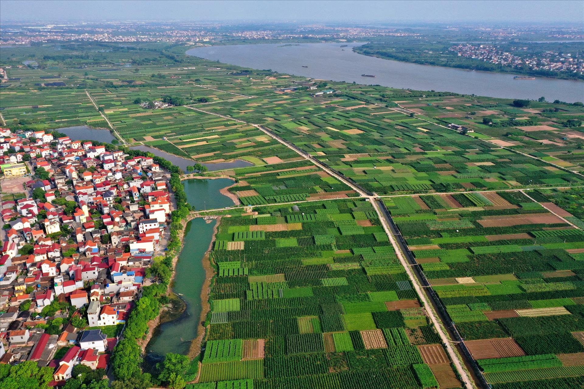 Hà Nội hướng tới nền nông nghiệp xanh, hiện đại và minh bạch