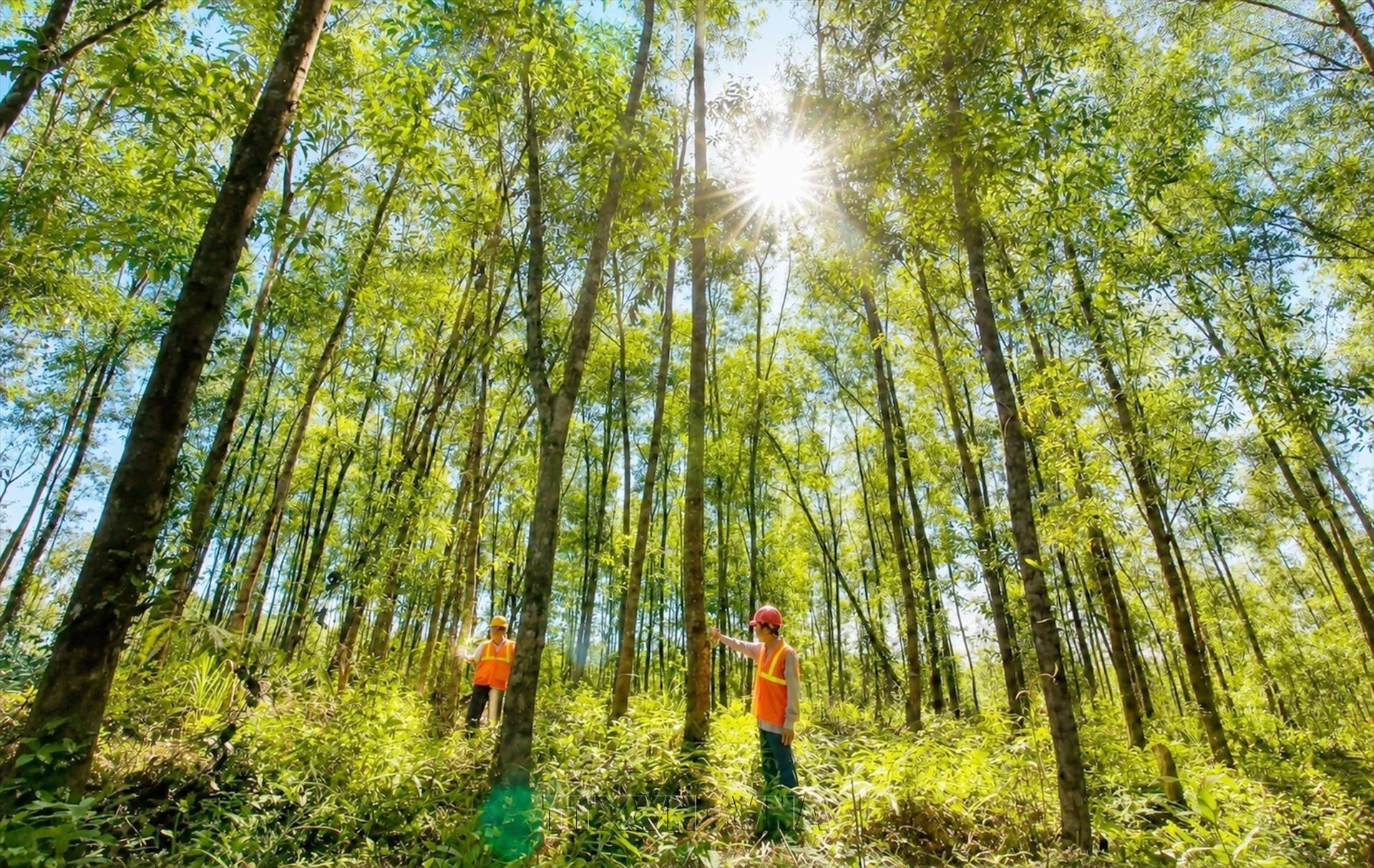 Partys Viewpoints on Environmental Protection, Climate Change Response