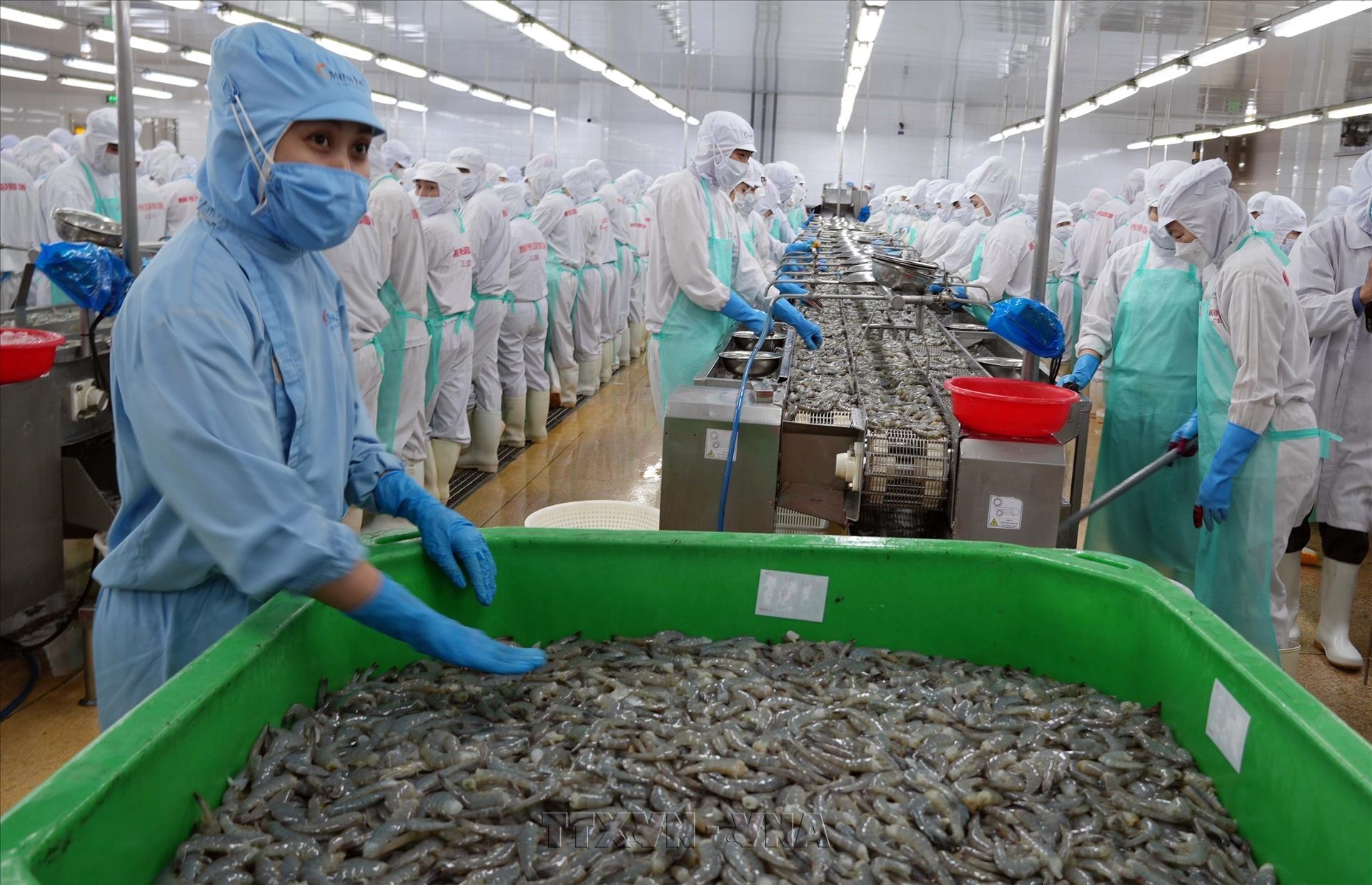 Vietnams agro-forestry-aquatic exports rise 7% in eight months