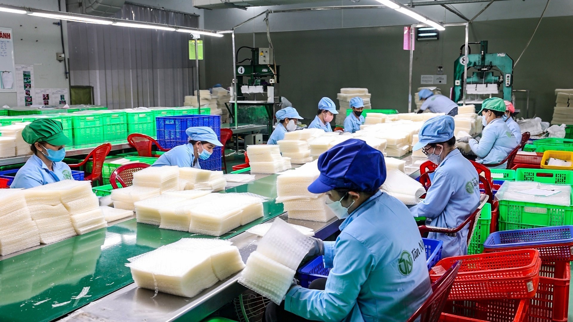 Tây Ninh nâng chất OCOP, tạo động lực mới cho kinh tế nông thôn