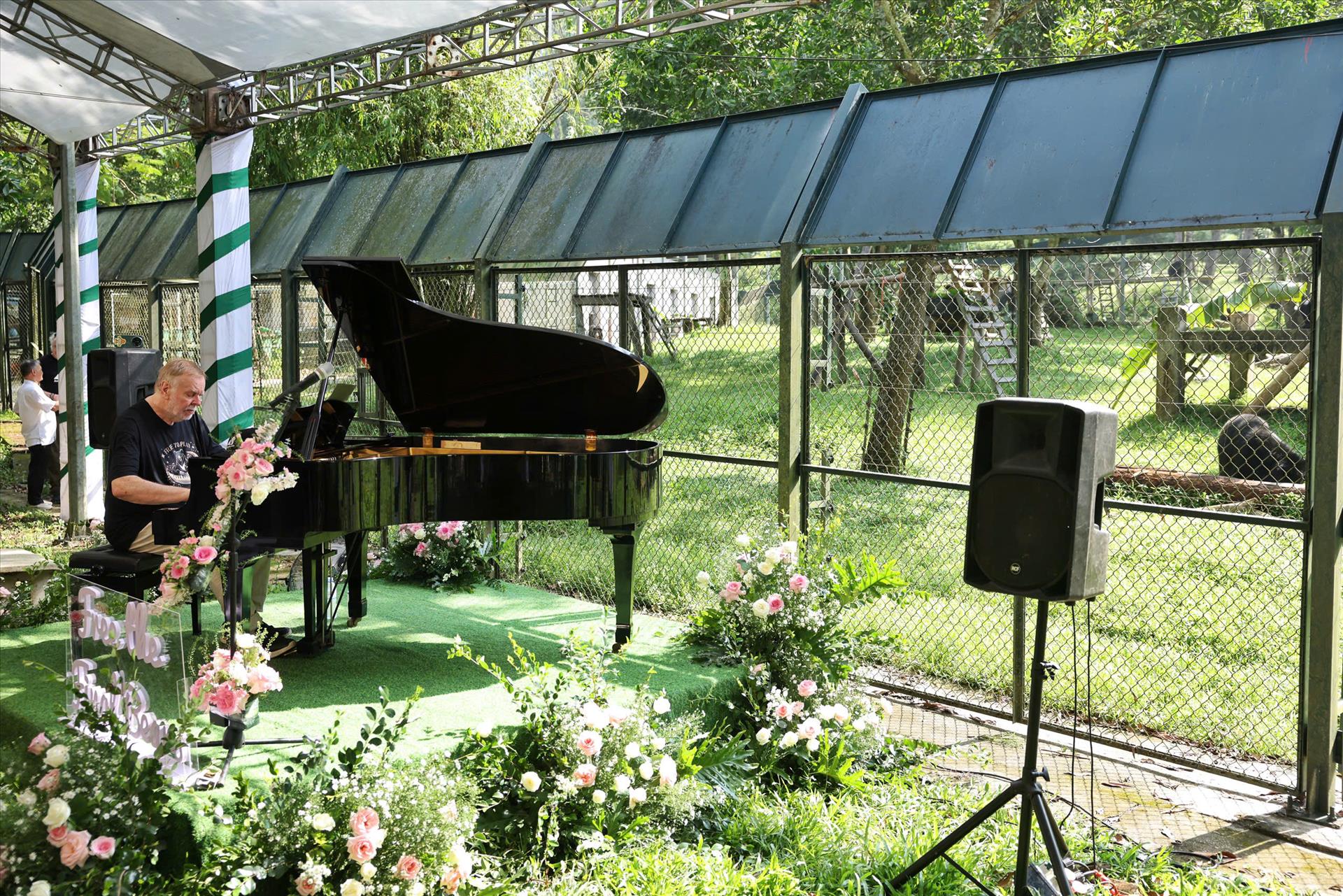 Rick Wakeman biểu diễn piano giữa rừng Tam Đảo cho những cá thể gấu được giải cứu