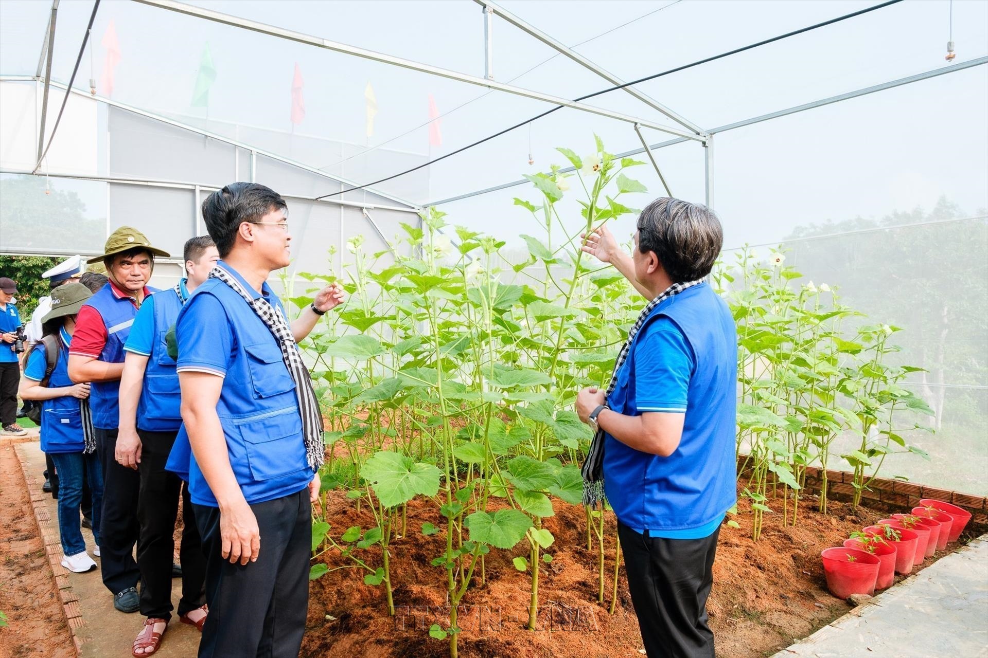 Gieo màu xanh nơi đầu sóng