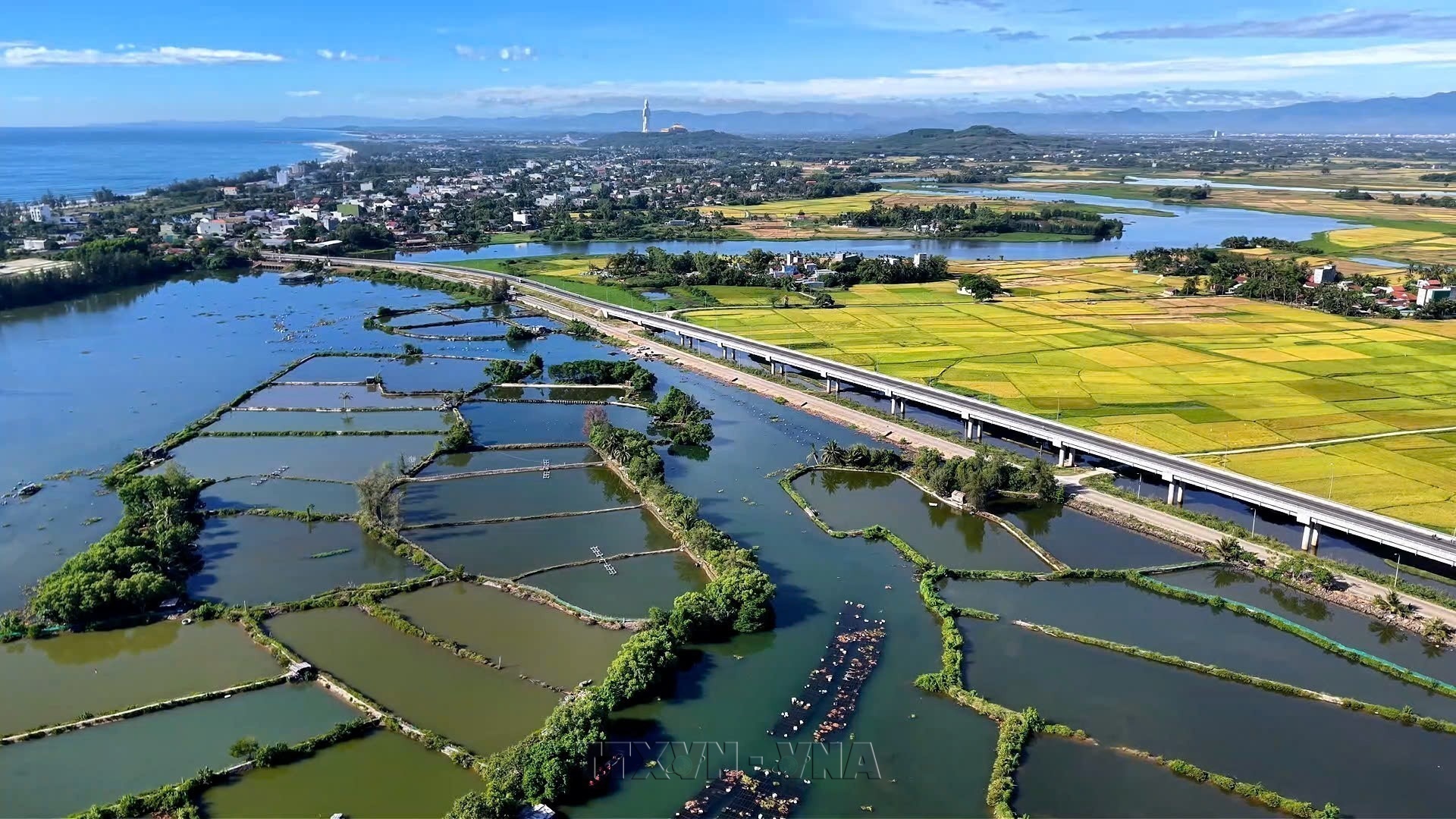 Quang Ngai: Preserving Mangrove Forests and Developing Sustainable Livelihoods