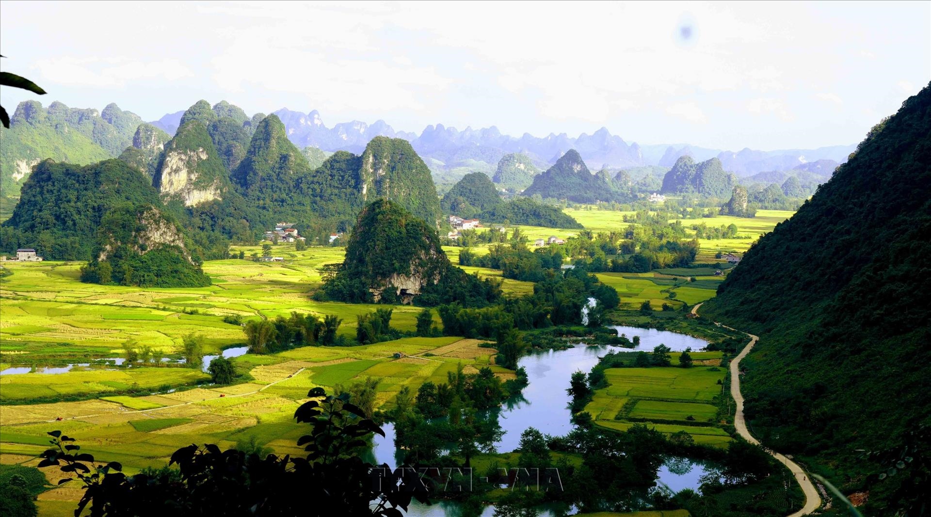 Cao Bang: Golden Harvest Season in Ngoc Con Valley