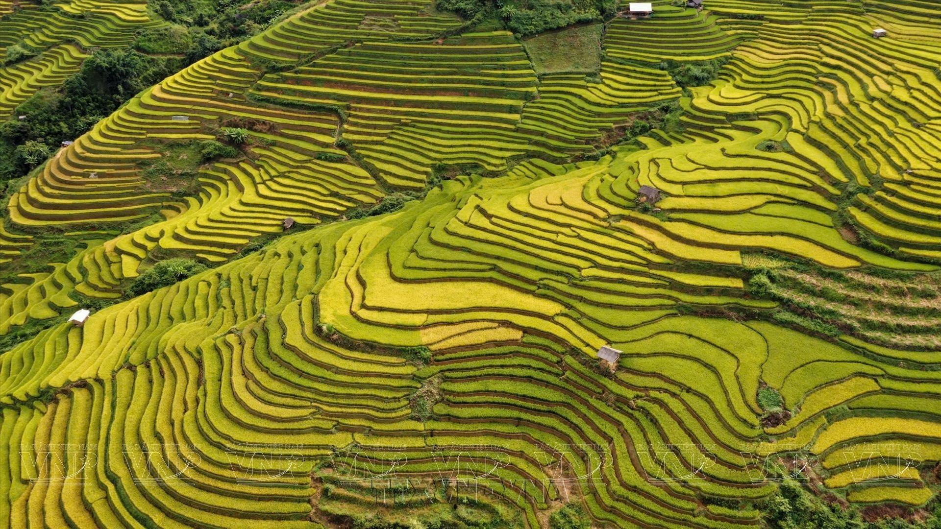 Le Vietnam figure parmi les adresses dorées de cet automne selon Lonely Planet