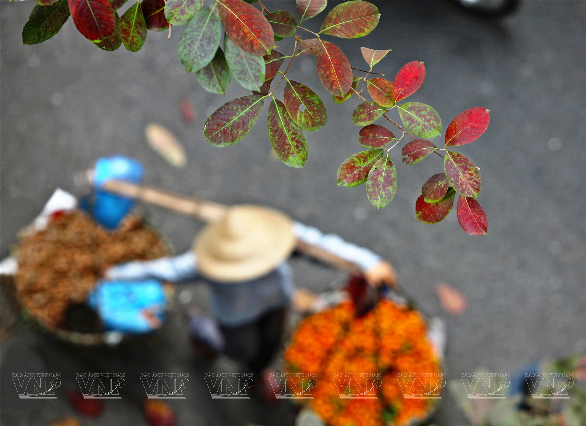 Hanoï en automne, entre paysages, souvenirs et découvertes