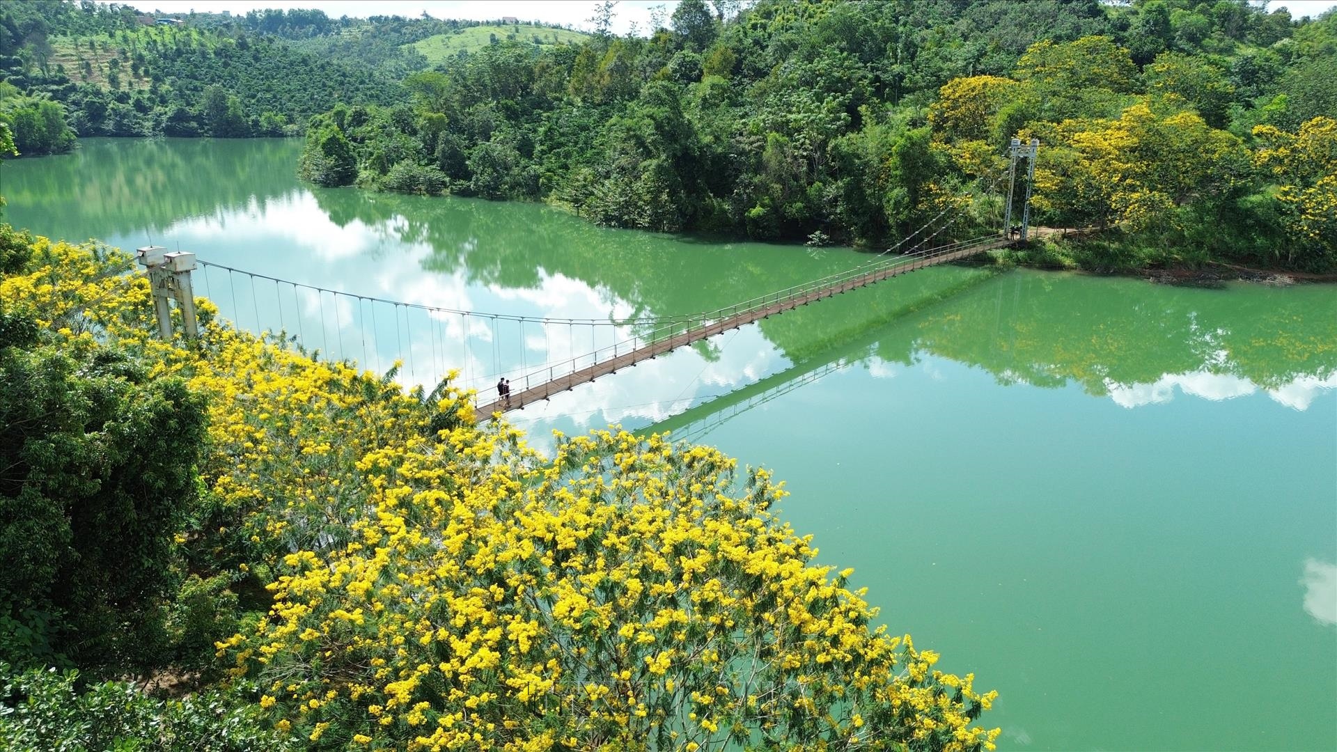 Vẻ đẹp phố thị hoa vàng Gia Nghĩa giữa đại ngàn Tây Nguyên