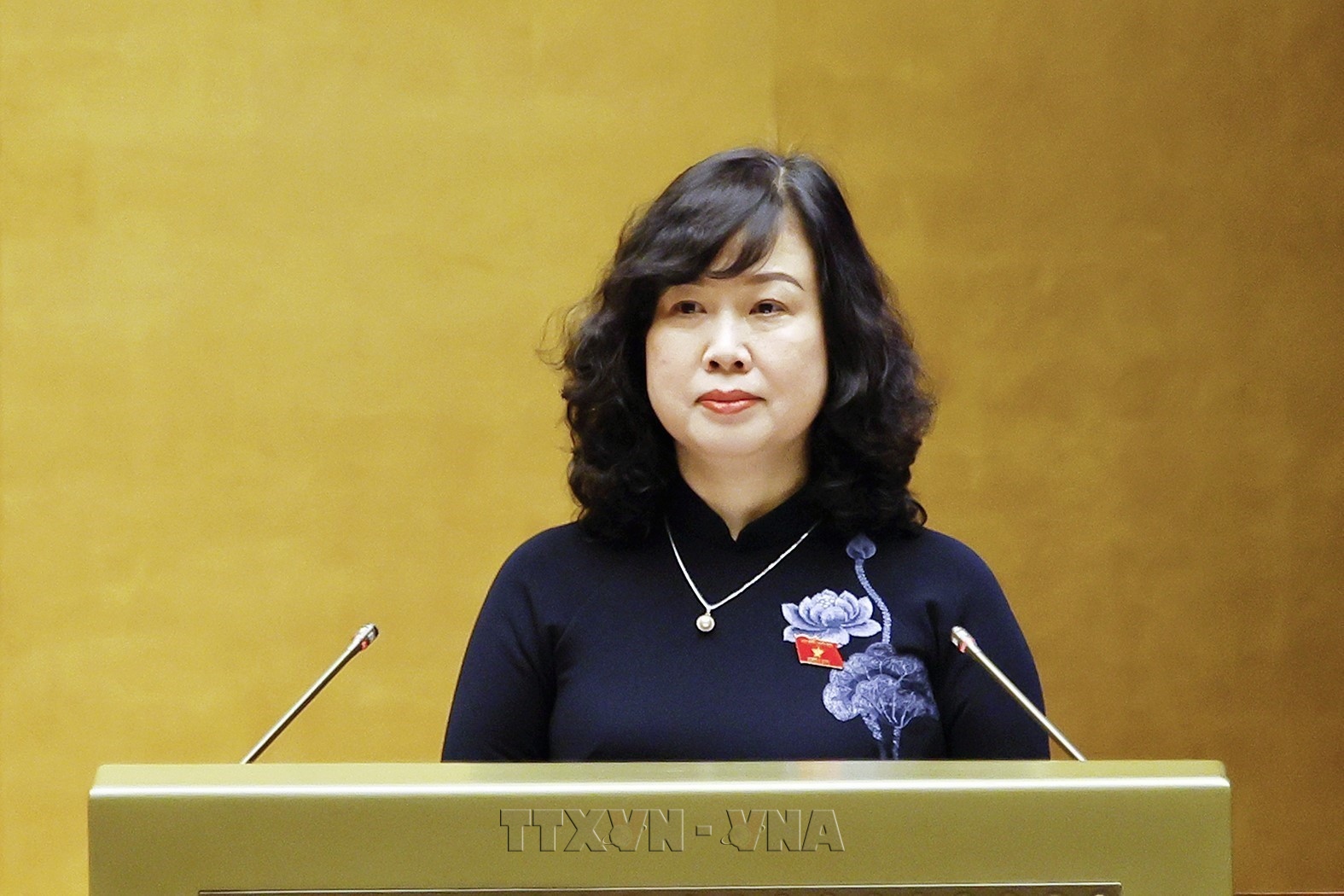 Parlamento vietnamita revisa tres proyectos de ley para reforzar protección de la salud pública