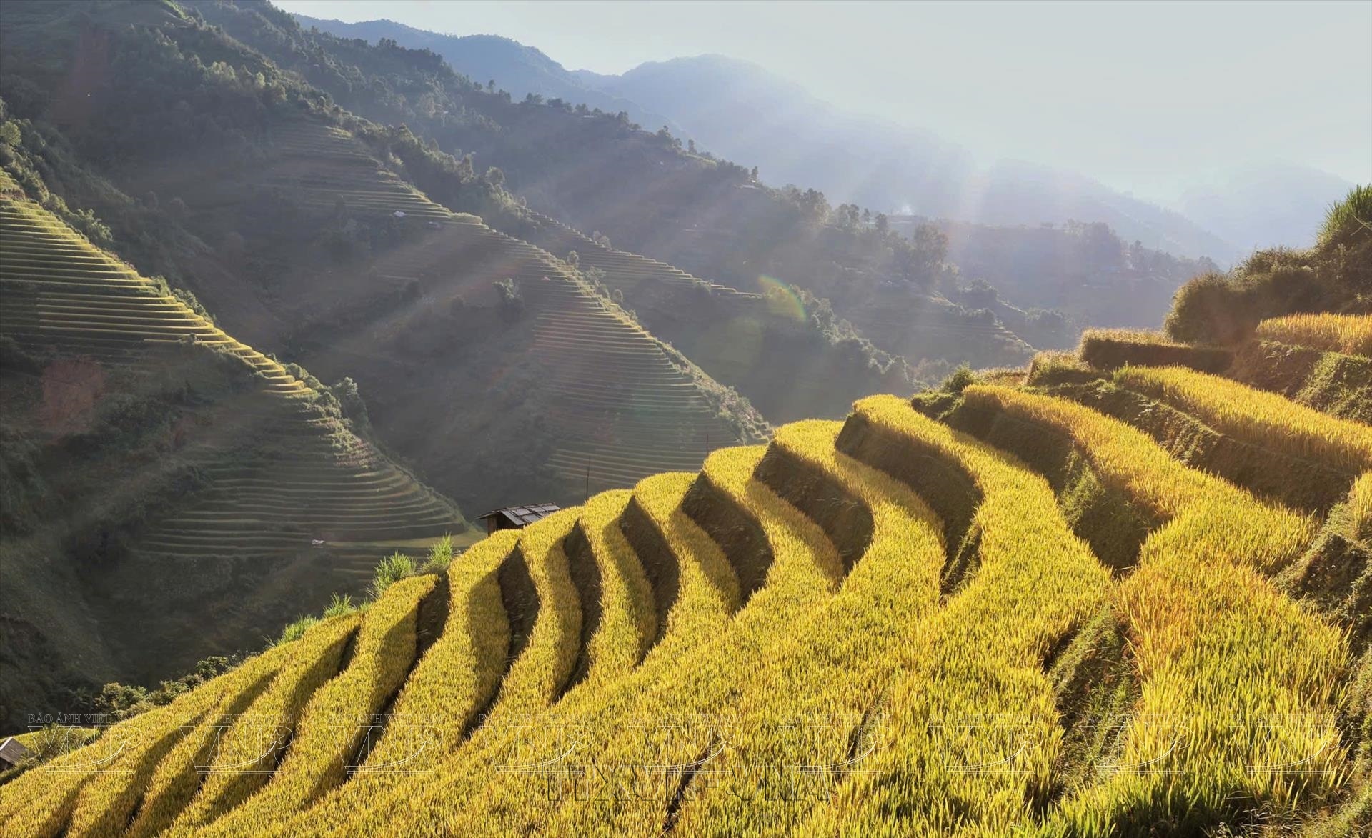 Vietnam ranks fourth among top autumn travel destinations for 2026