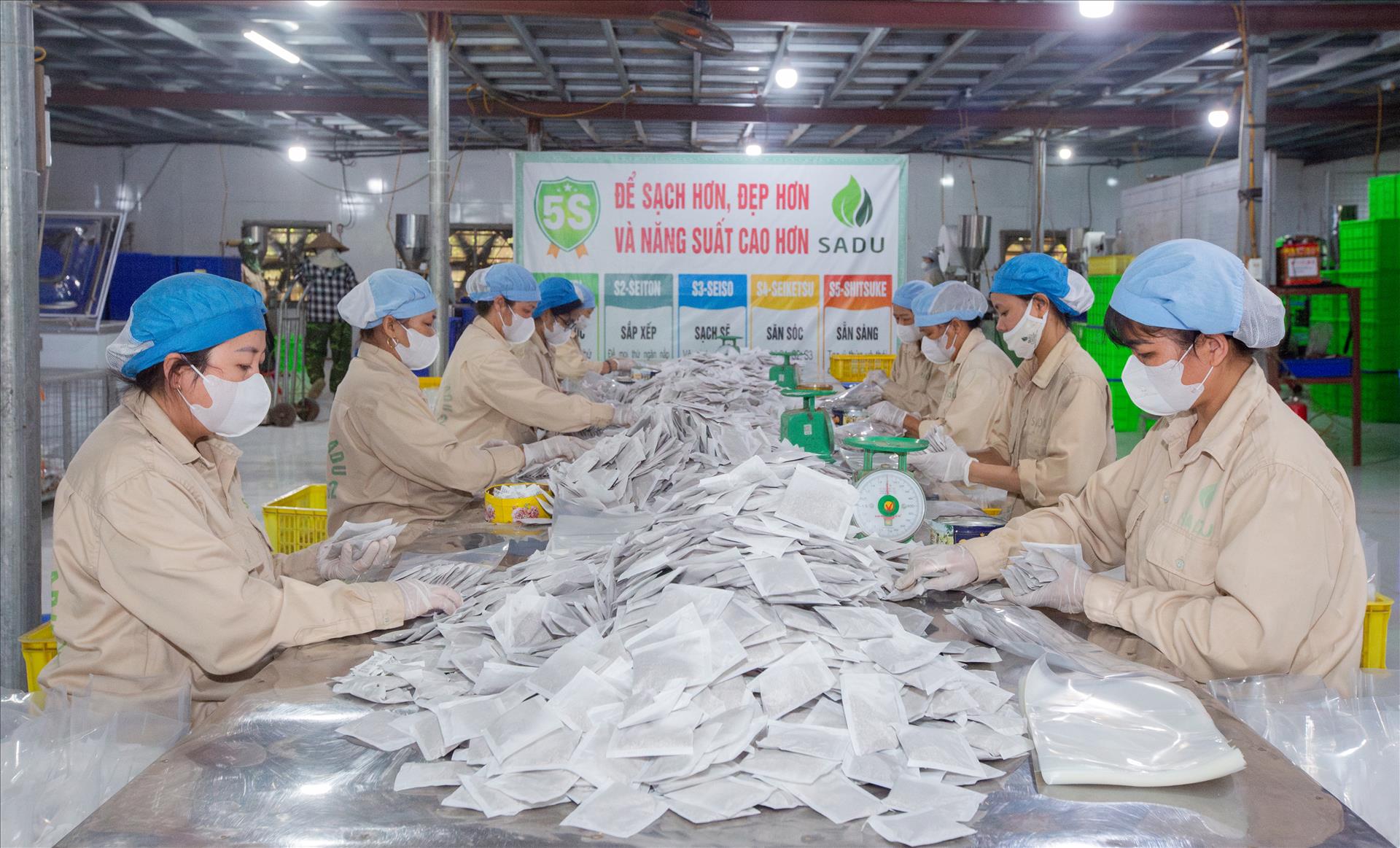 SADU – từ cây dại đến tiêu chuẩn quốc gia