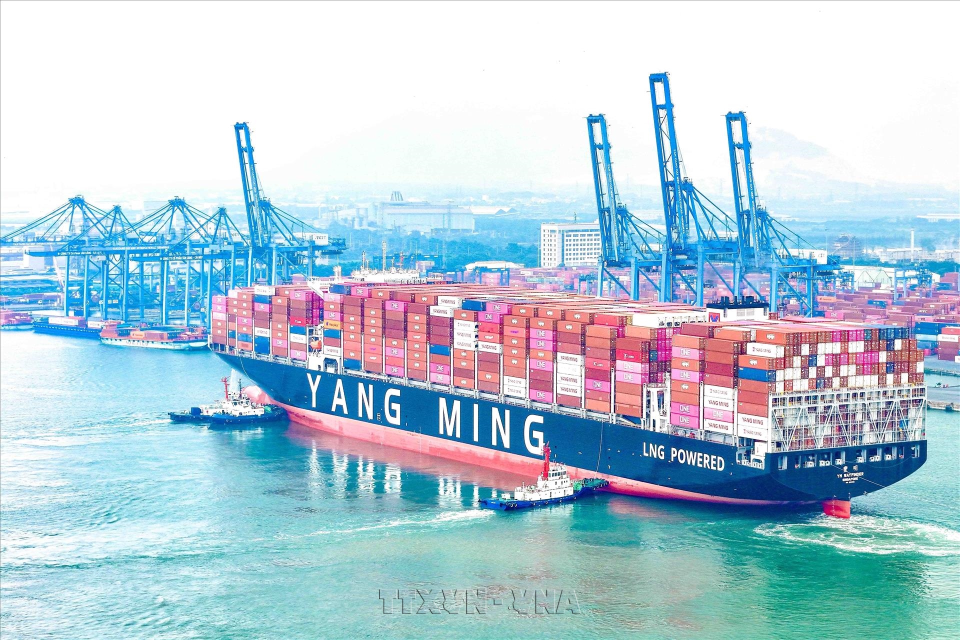 Yang Mings container ship makes first call at Tan Cang - Cai Mep terminal