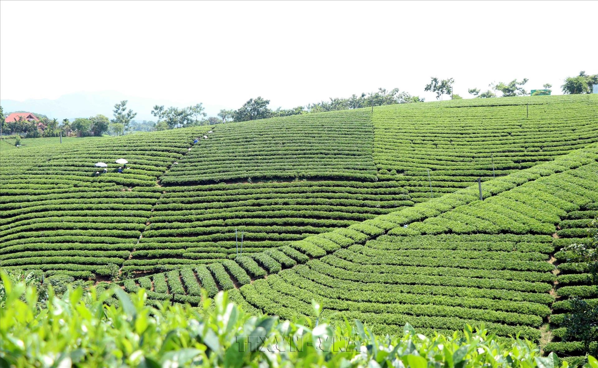 Thai Nguyen mise sur le tourisme vert pour attirer les visiteurs internationaux