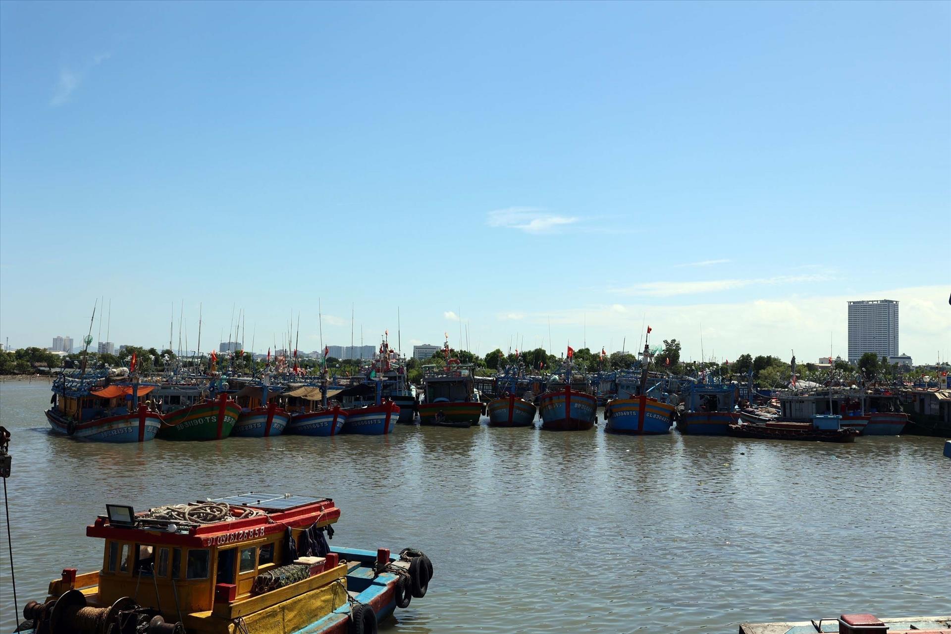 Thành phố Hồ Chí Minh tái cấu trúc phát triển căn cơ nghề cá