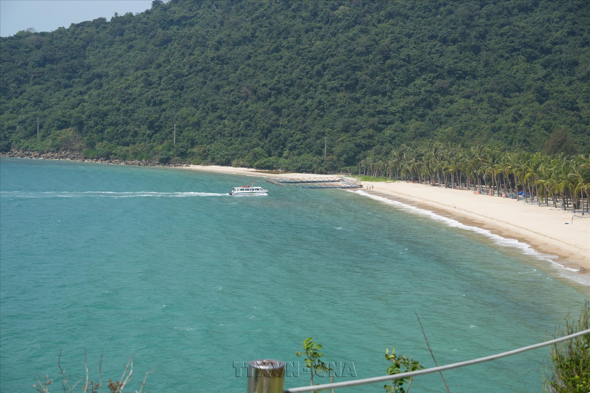 Biodiversity conservation underpins Da Nangs ambition to become ecological coastal city