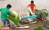 Mécanisation de la riziculture à Hanoï