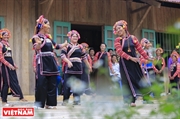 ການຟື້ນຊີບ ຂອງ ເຜົ່າຕອງເຫຼືອງ