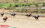 Khám phá trường đua ngựa Thiên Mã - Madagui