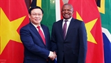 Vietnam boosts multi-faceted cooperation with Africa