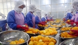 EVFTA: le Vietnam face aux exigences sur lorigine des marchandises 