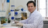 Vietnams leading expert on venomous snakes